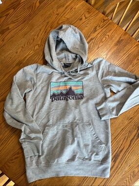 Patagonia graphic hoodie